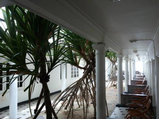 Ap Nippon Beach Hikkaduwa Exteriör bild